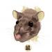 Znamenie zverokruhu Lev narodený v roku potkana Charakteristika znamenia Lev potkania žena